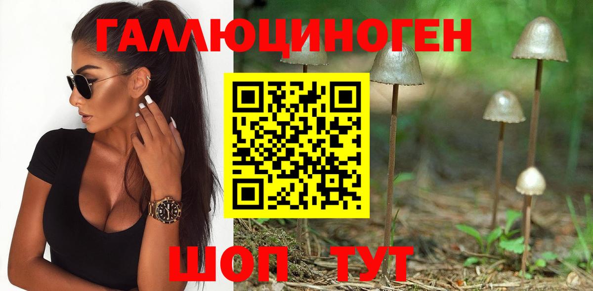 сколько стоит  Вход с VPN  Аргун  Псилоцибиновые грибы ЛСД  Псилоцибиновые грибы MAGIC MUSHROOMS 