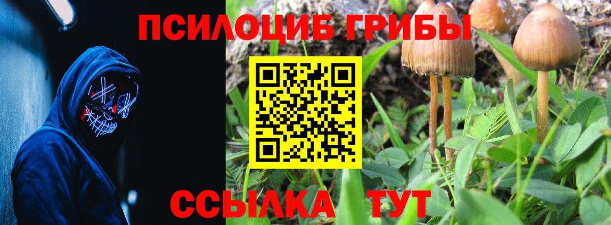 Галлюциногенные грибы Cubensis Аргун